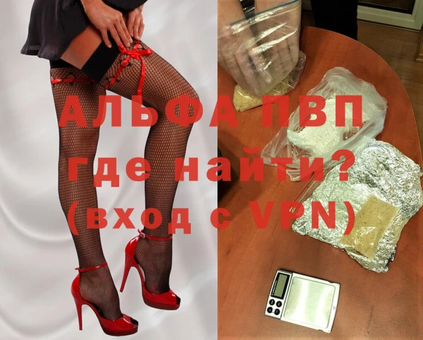 шишки Заволжье