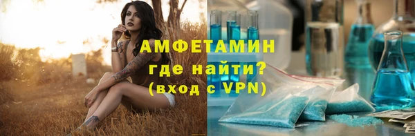 шишки Заволжье