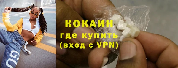 шишки Заволжье