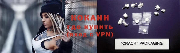 шишки Заволжье