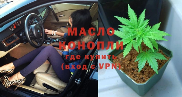 шишки Заволжье