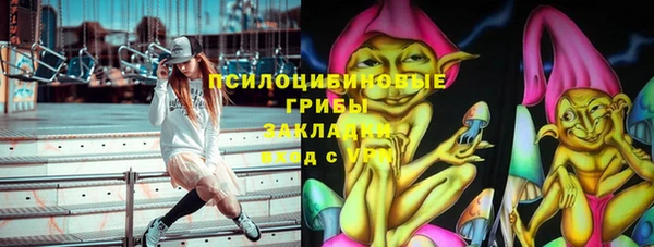 шишки Заволжье