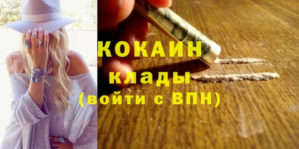 шишки Заволжье