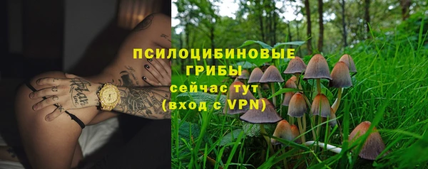 СК Заводоуковск