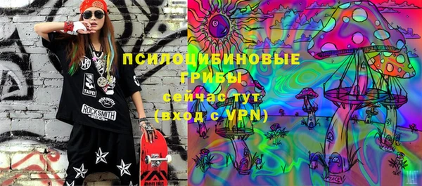 СК Заводоуковск
