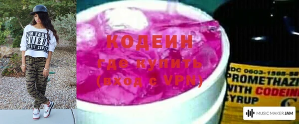 шишки Заволжье
