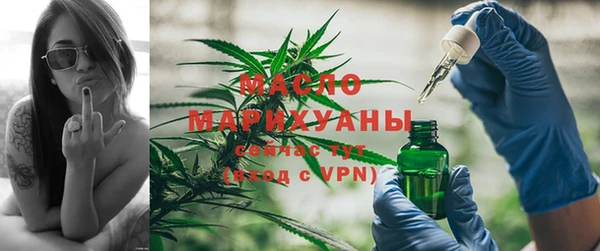 шишки Заволжье