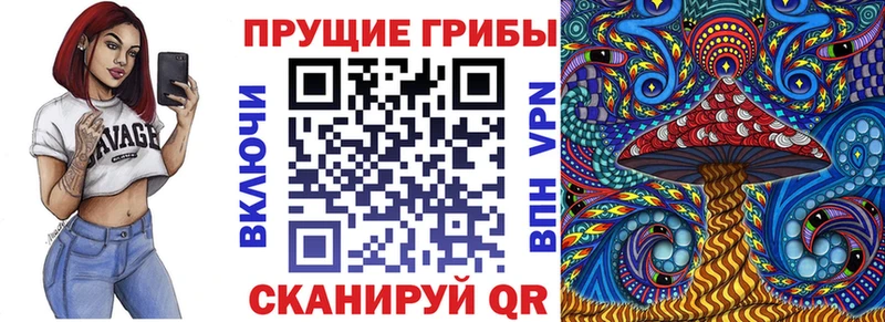 Купить закладки  Кингисепп  Галлюциногенные грибы GOLDEN TEACHER 